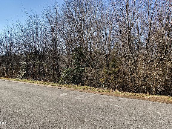4th image of 0 Courtney Dr