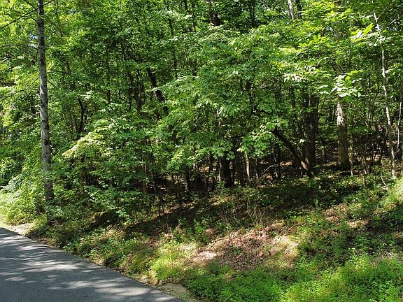 5th image of 161 Sugarbush Cir