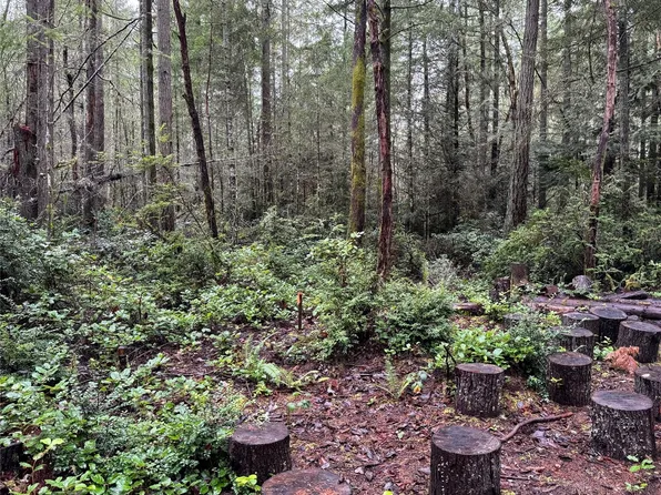 6700 NE Hanks Lane, Bainbridge Island, WA 98110