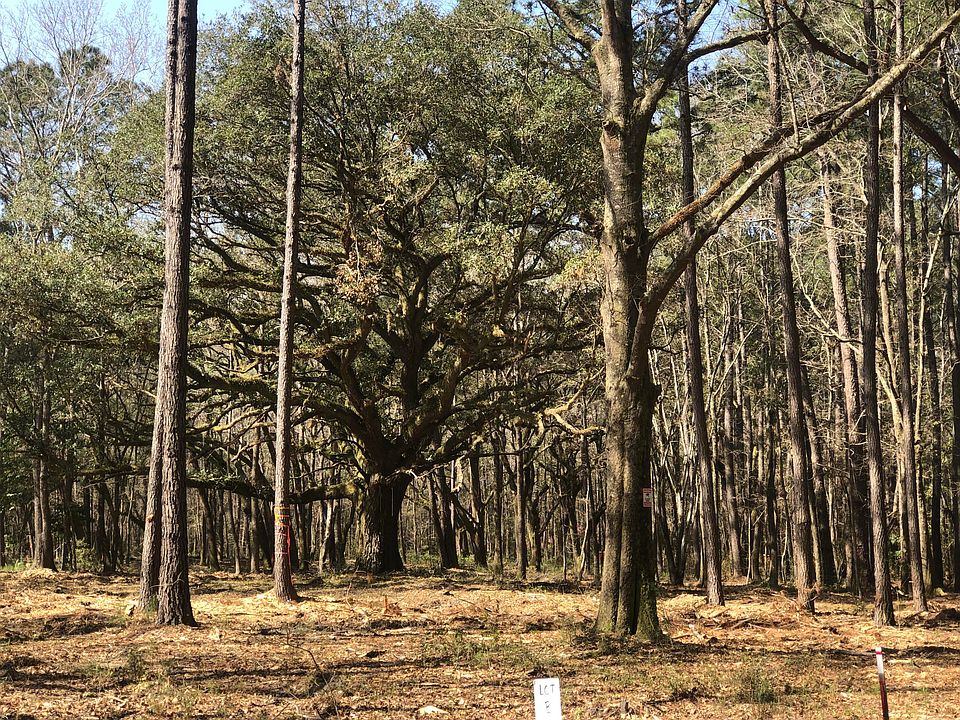 00 Chisolm Road, Johns Island, SC 29449 MLS 22017691 Zillow