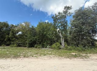 E Cowpen Lake Rd, Hawthorne, FL 32640