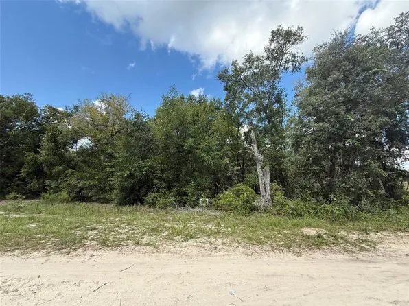 E Cowpen Lake Rd, Hawthorne, FL 32640