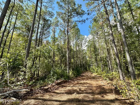 0 Bridges Rd, Florence, MS 39073