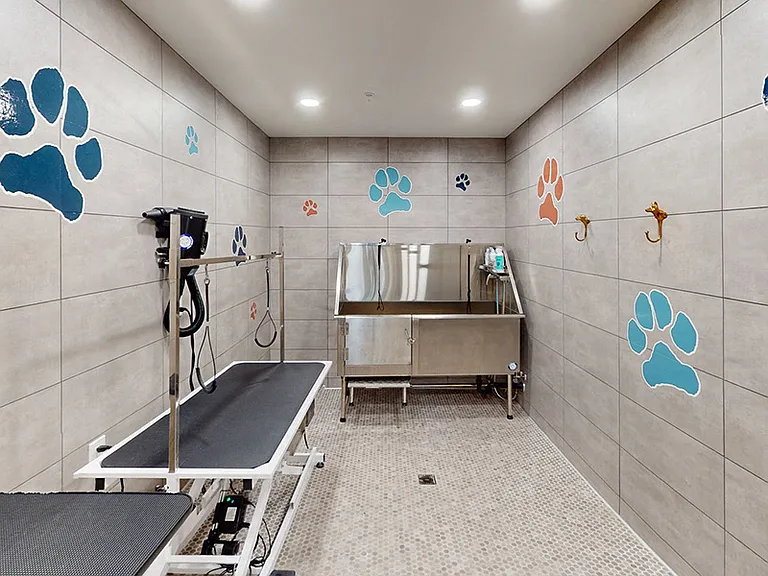 Barks &amp; Bubbles Spa available for our four-legged friends