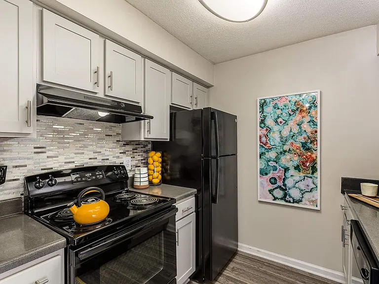 Kitchen featuring Black Refrigerator, Range and Dishwasher with Mosaic Tile Backsplash - Diamond Interior