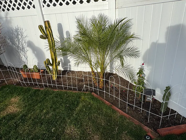 Wonderful plants.