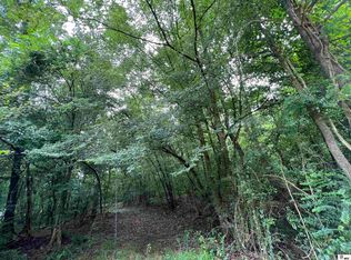 0 Arthur McDaniel Rd, Downsville, LA 71234