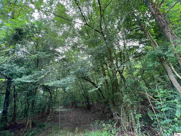0 Arthur McDaniel Rd, Downsville, LA 71234