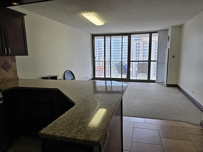 10 E Ontario St #2104 — Photo 6