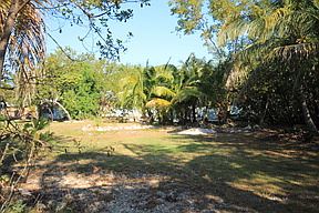 2nd image of 1135 Warner Rd