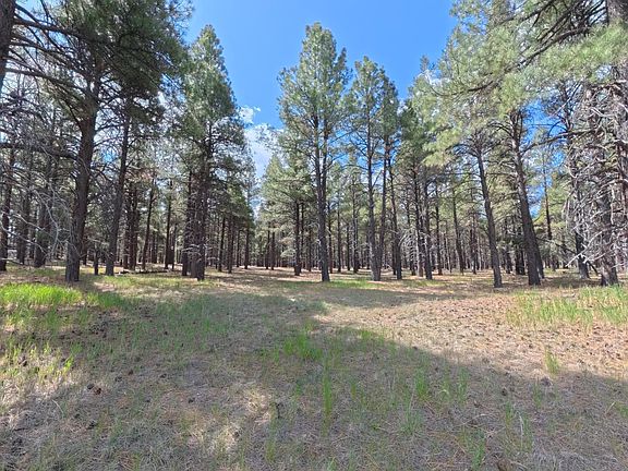 4th image of 12565 CAMP KIMBALL Road #-