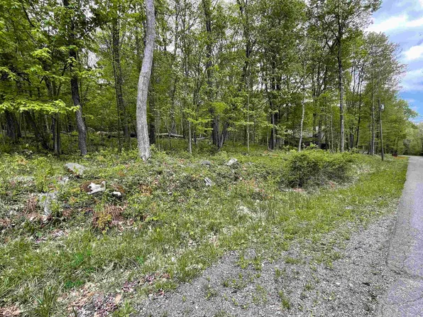 Lots 80 & 81 Pine Dr, Terra Alta, WV 26764