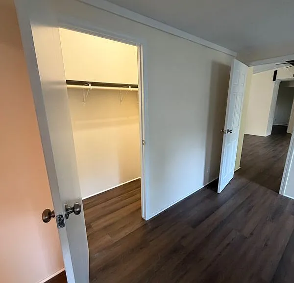 200 Pecan St — Photo 16