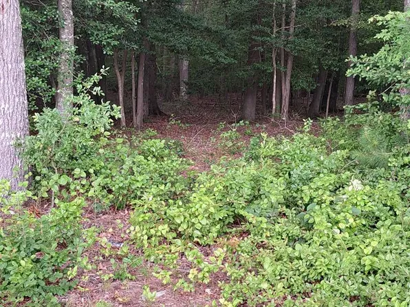 LOT 34 Pitts Creek Rd, New Church, VA 23415