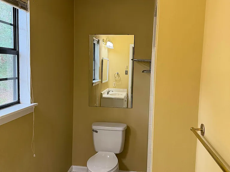 2 Red Birch Cv — Photo 12