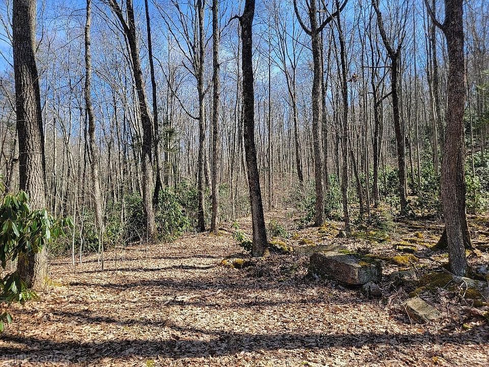 0 Wolf Creek Hwy 0, Rocky Gap, VA 24366 MLS 902003 Zillow