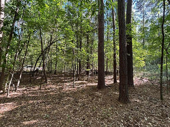 4th image of TBD Pearson Rd.