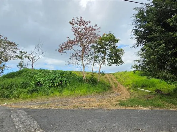 Bo Martin Gonzalez Calle Campeche, Carolina, PR 00987