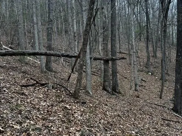 Tbd Roan Creek Rd, Butler, TN 37640