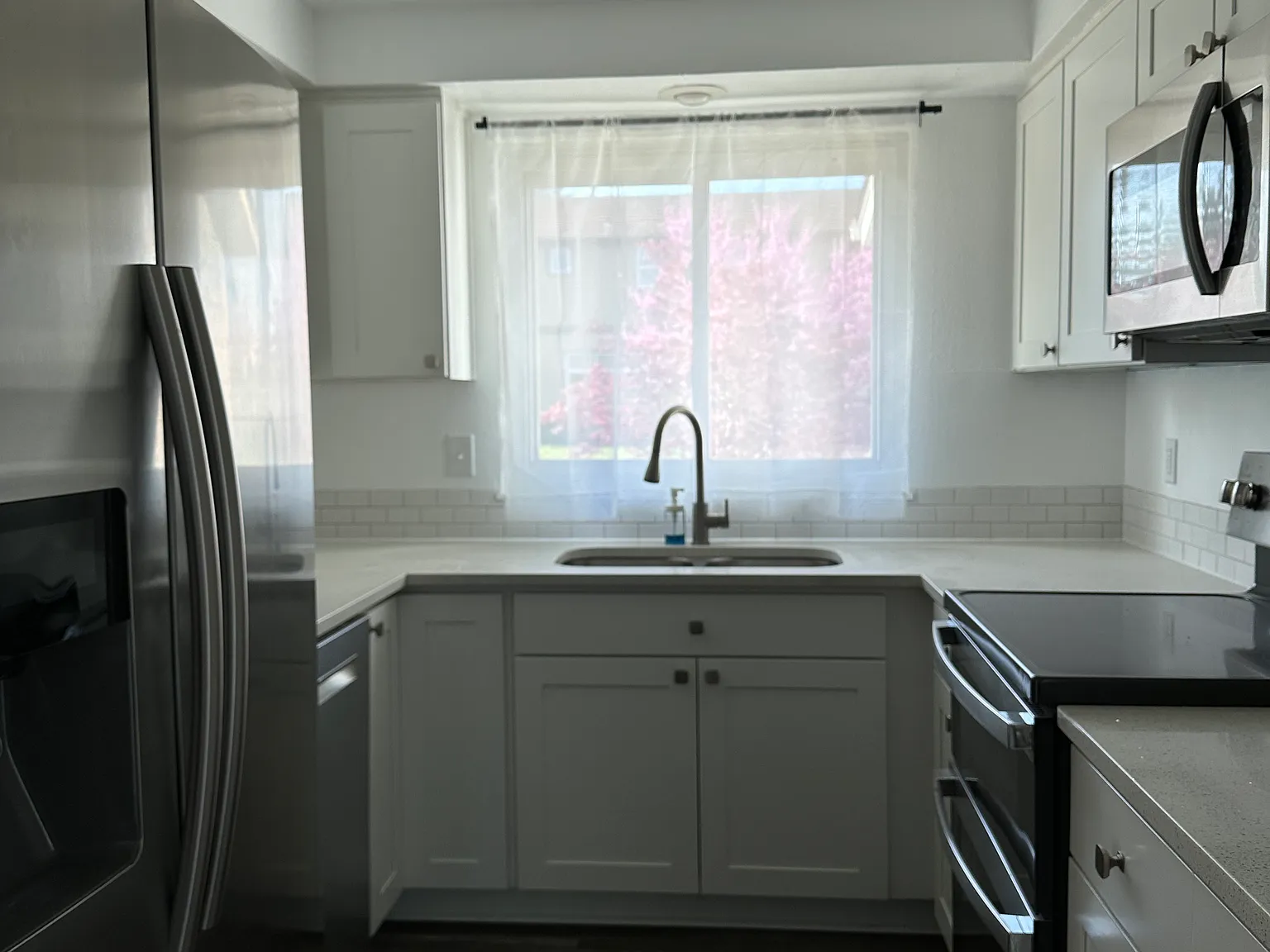 3 bed, 100 sqft, $1,000 — Photo 4