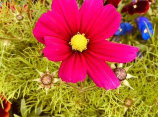 242 Gunsite Loop, Kalispell, MT 59901