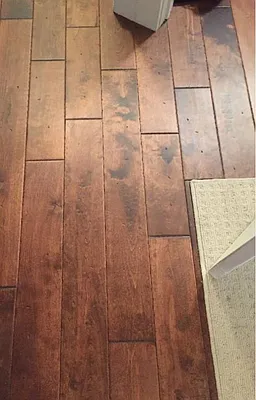 Rented by New Vista Horizons, Inc. | media 38