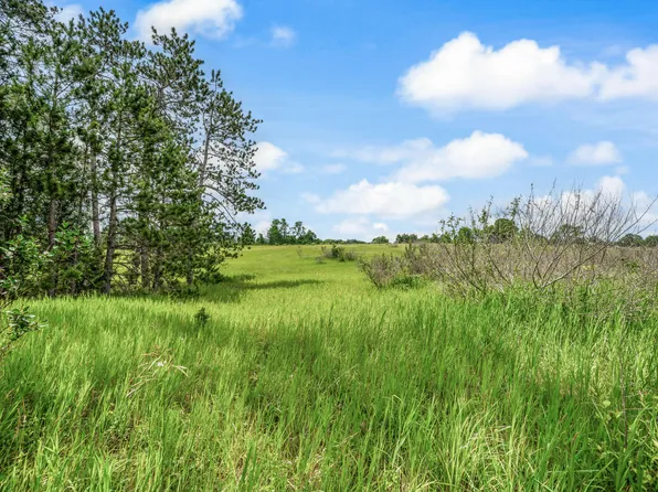 13751 Mackinaw Trl, Leroy, MI 49655
