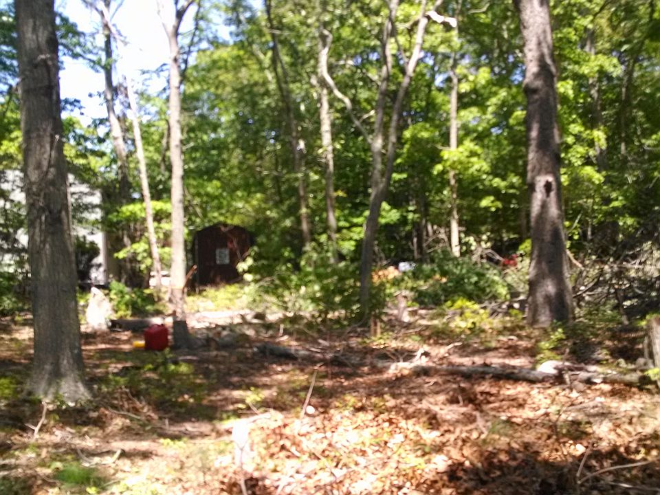 2nd image of 9 Corbin St
