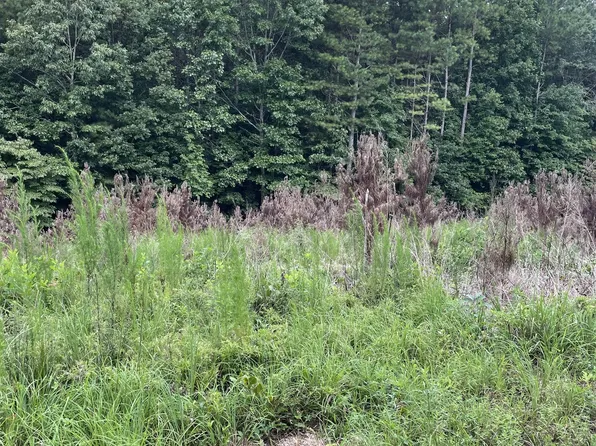 0 Ashmore Rd, Summertown, TN 38483