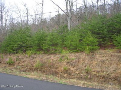 11 Oak Pointe Dr, Shepherdsville, KY, 40165