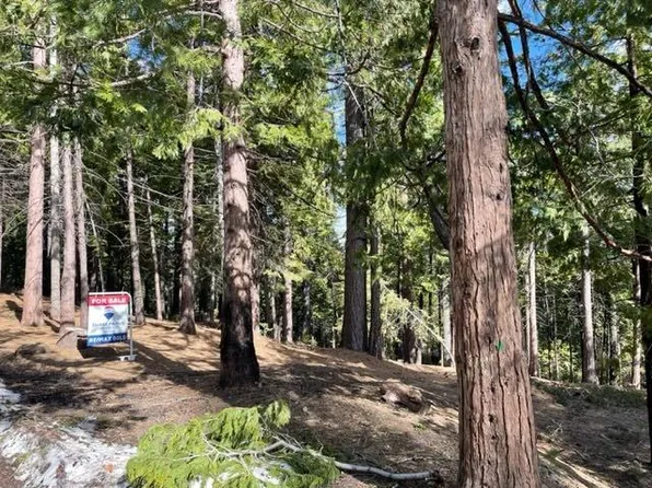 576 Wikami Way, Arnold, CA 95223