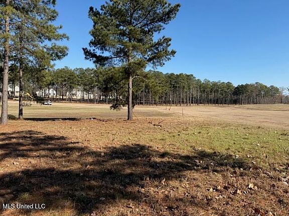 5th image of Bishop Point Lot 69