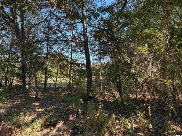 00A Stringham Rd, Higginson, AR 72068
