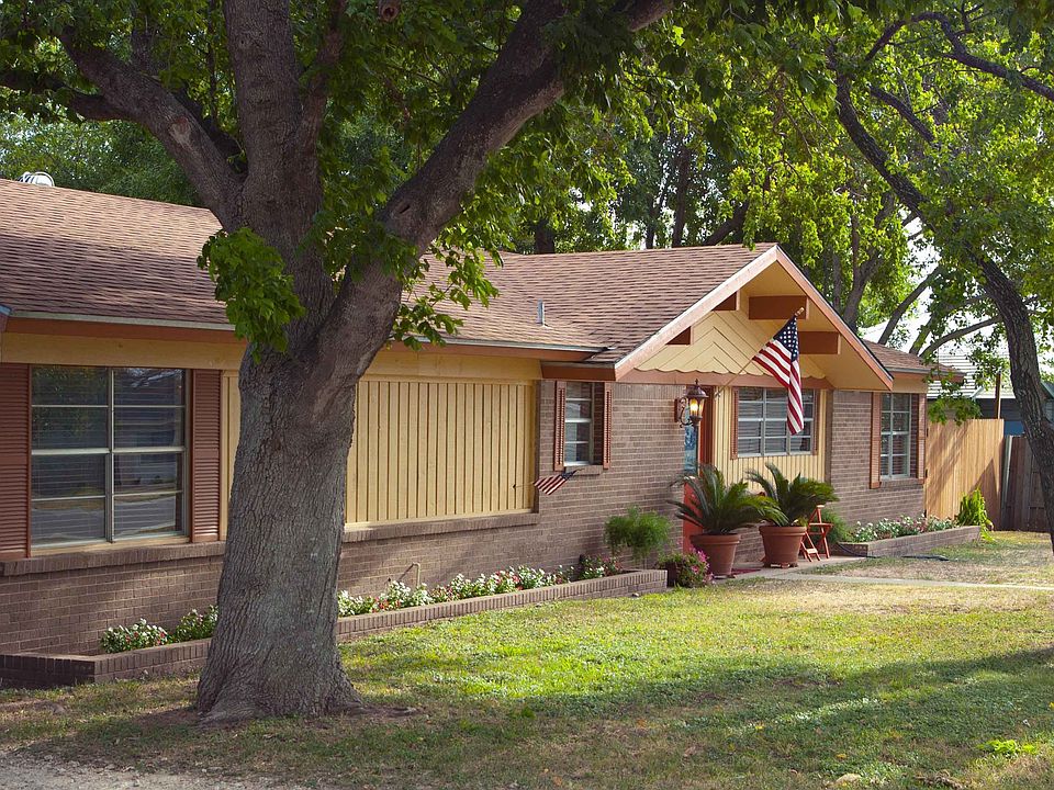 Large Shade Trees