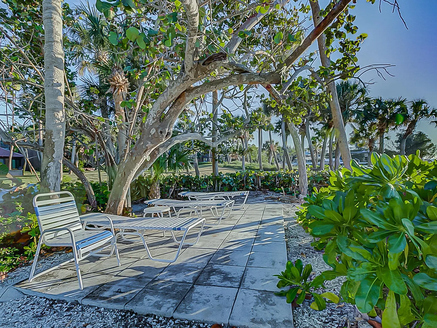1 bed, 561 sqft, $6,200 — Photo 3