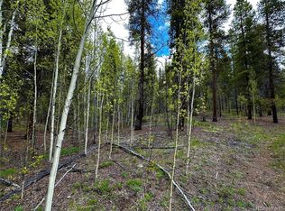 1225 Mountain View Dr #1-2-3, Leadville, CO 80461