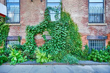 Rented by Lisa Management