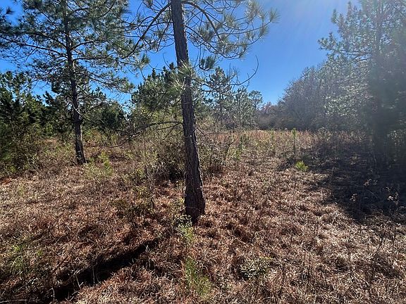 2nd image of 0 A Patterson Rd #A