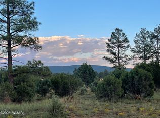 3621 N Mountain Creek Trl, Lakeside, AZ 85929