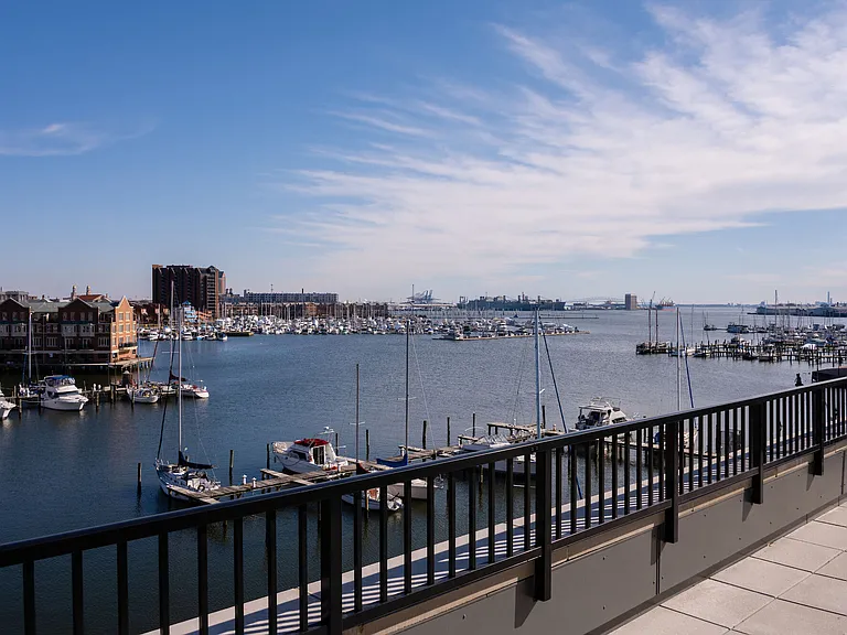 Elms Fells Point — Photo 39