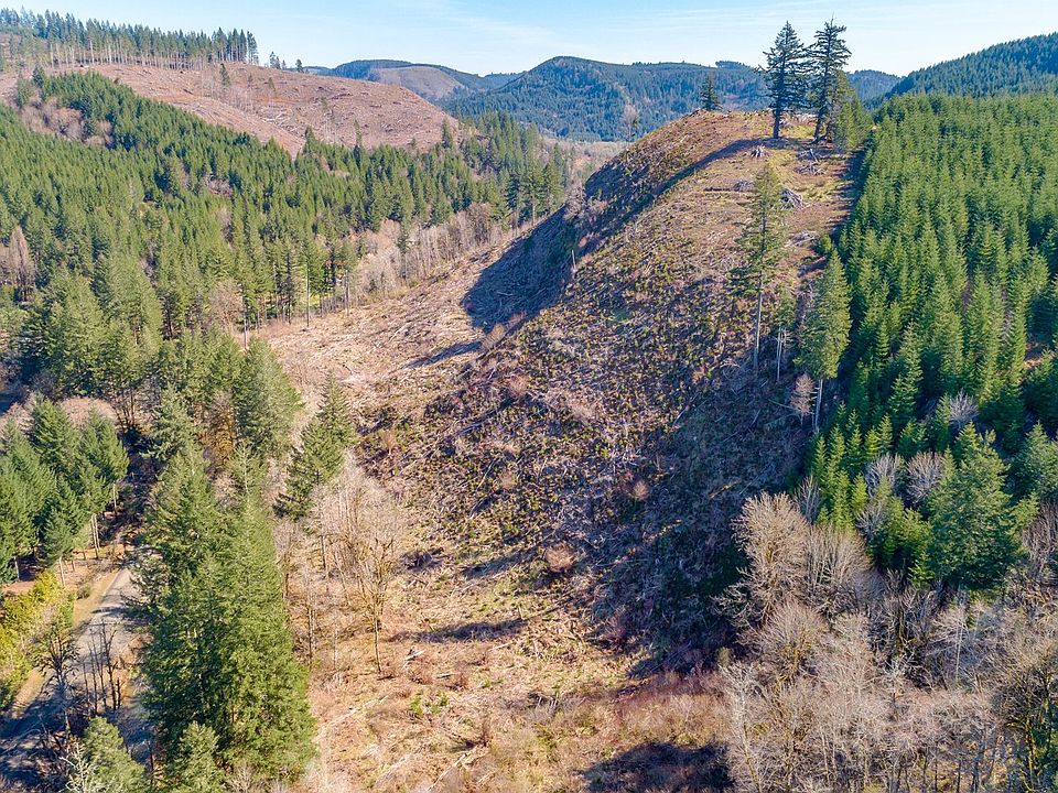 2nd image of SW Coast Creek Rd