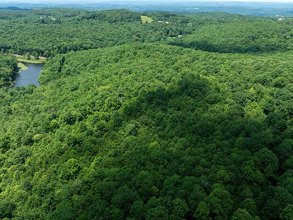 3rd image of Camp Mountaineer Rd