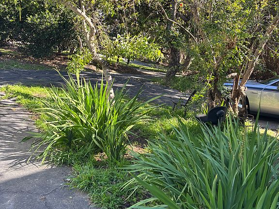 3rd image of (Undisclosed Address)