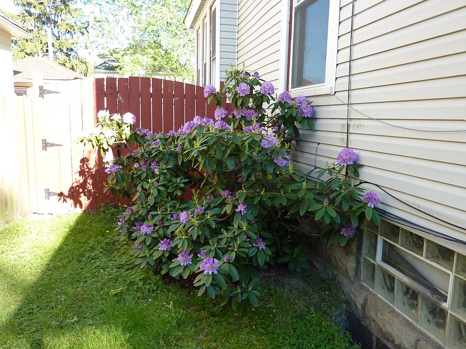 2nd image of 87 Oakdale Ave