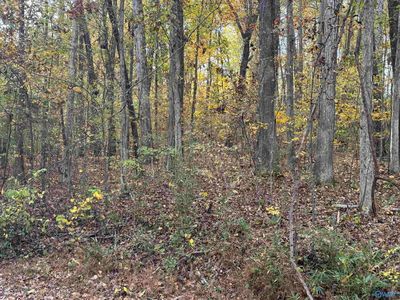 3825 Fall Bluff Dr SW, Decatur, AL, 35603