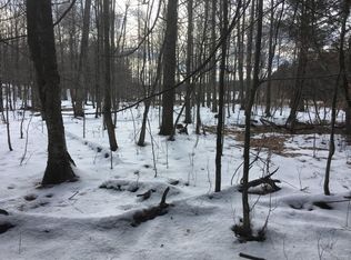 15 Roat Rd, Lisle, NY 13797