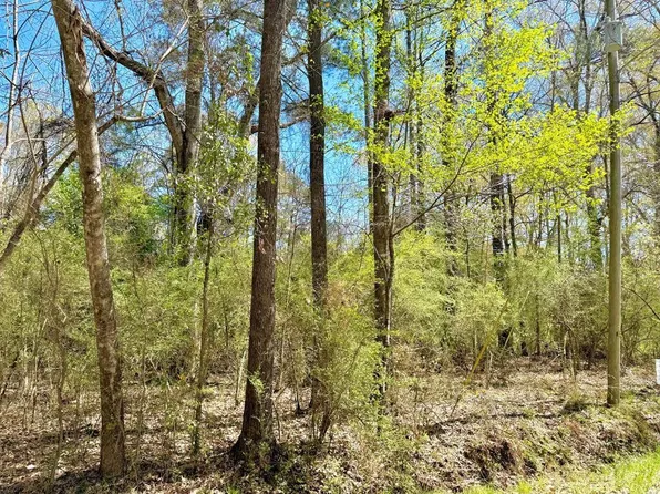 Camanche Rd, McComb, MS 39648