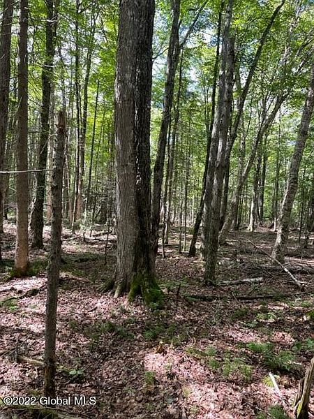 4th image of 130 Round Lake Brook Loop