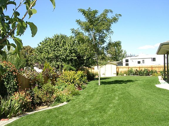 Back yard