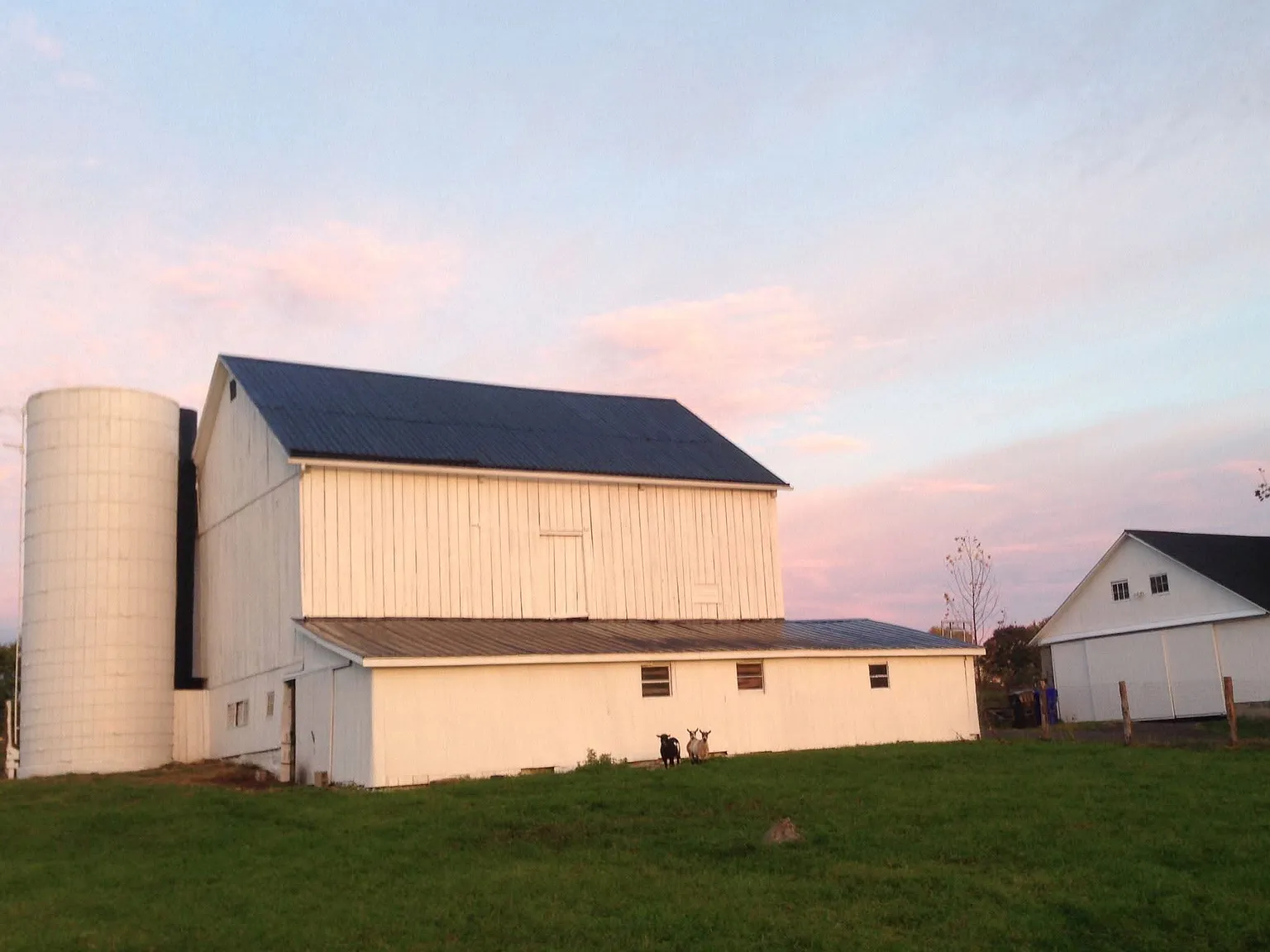 841 Phillips School Rd — Photo 2